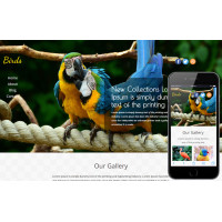 ✅ Birds яркий шаблон для сайта о животных
