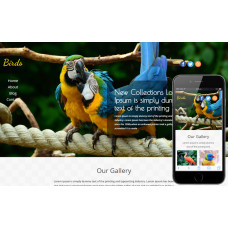 ✅ Birds яркий шаблон для сайта о животных