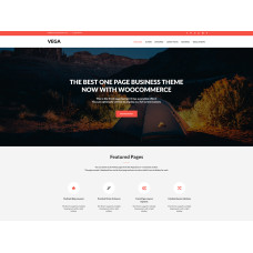 ✅ Vega шаблон для WordPress