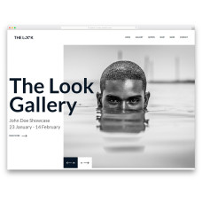 ✅ The Look шаблон сайта для фотографа или художника