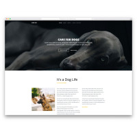 ✅ Breed шаблона для сайта или блога о животных