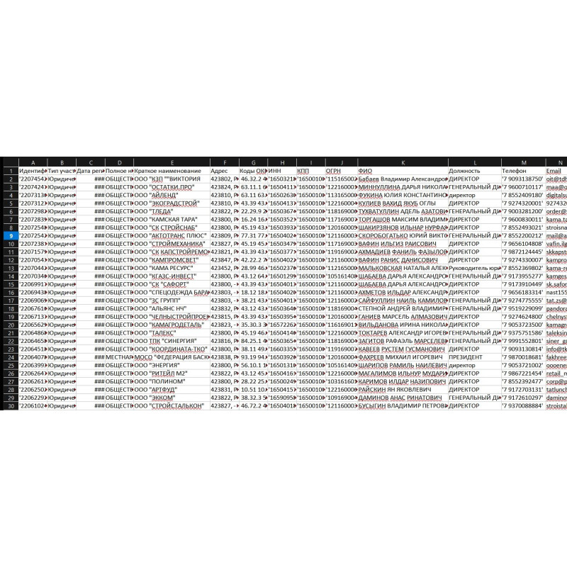 ✅ База Компаний Набережные Челны 1700 записей