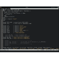 ???? dte маленький консольный редактор Linux