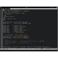 ???? dte маленький консольный редактор Linux